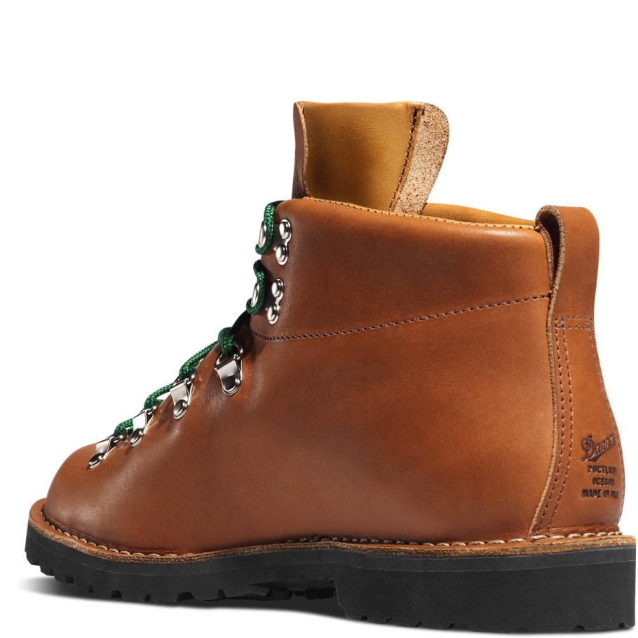 Danner Mountain Trail 4.5 Brown