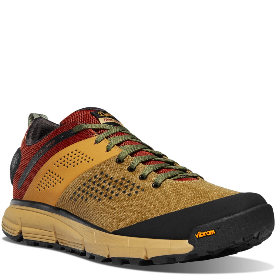 Danner Trail 2650 Mesh Painted Hills