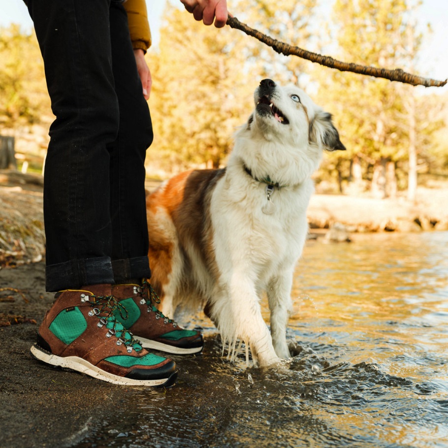 Free Spirit Dark Earth Danner