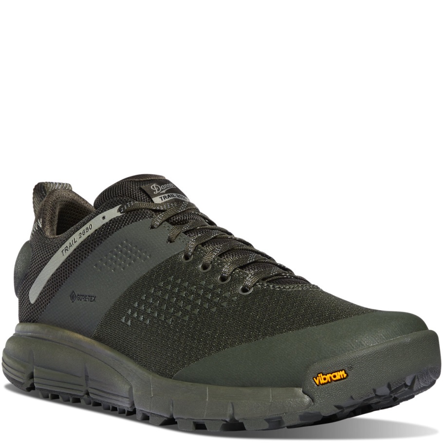 Trail 2650 Mesh GTX Forest Night Danner