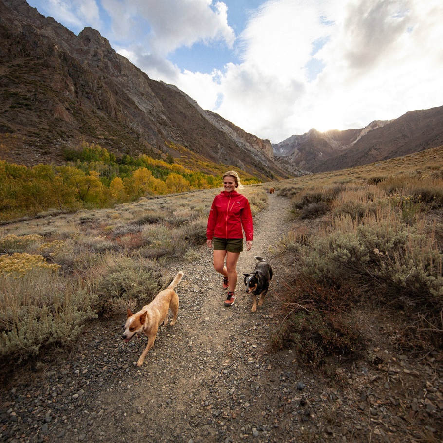 Women's Trail 2650 Hot Sauce Danner
